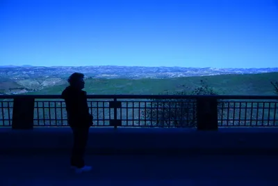 DSC_1150 (Large).JPG